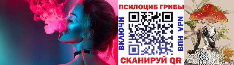 Псилоцибиновые грибы Cubensis  Суоярви 
